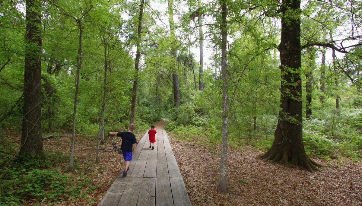 Houston Arboretum & Nature Center