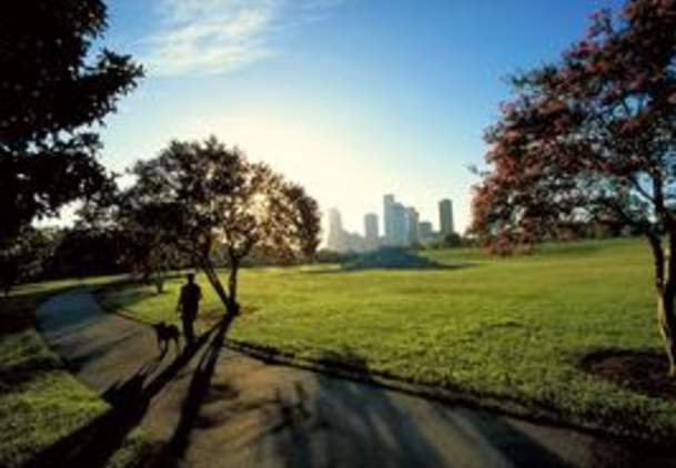 Buffalo Park Park