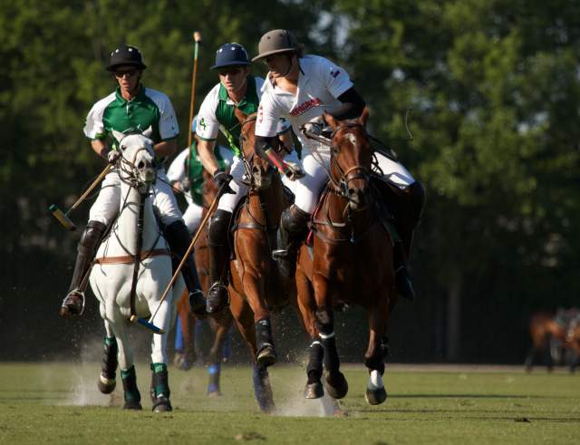 Houston Polo Club