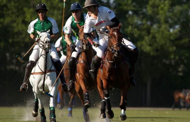 Houston Polo Club