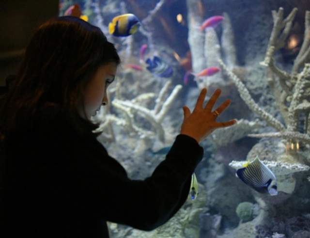 Downtown Aquarium