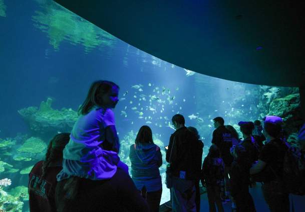 Galapagos Islands Exhibit