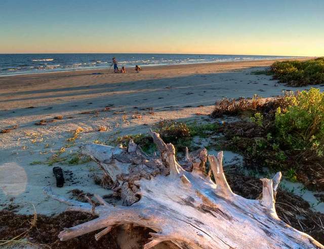 Galveston Island State Park