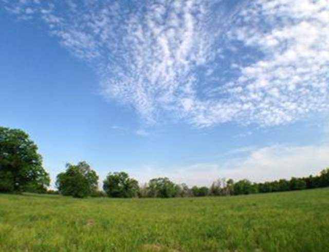 George Bush Park