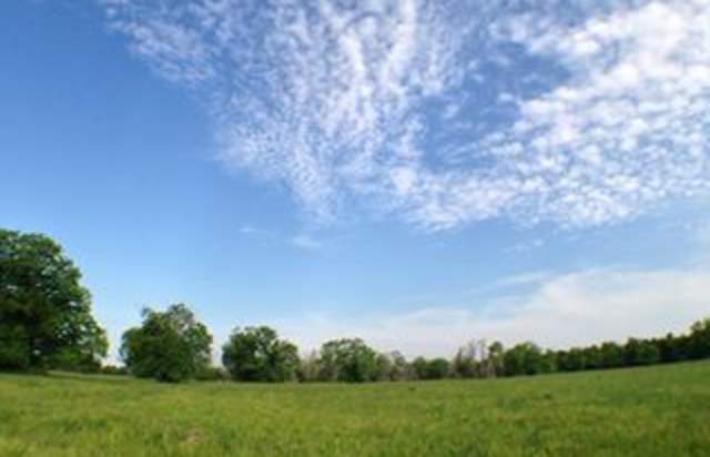 George Bush Park