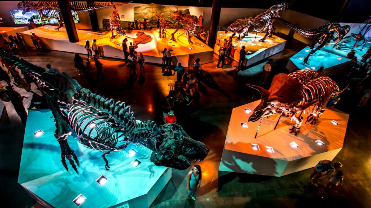 HMNS