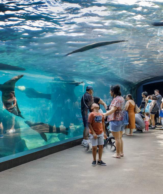 Houston Zoo