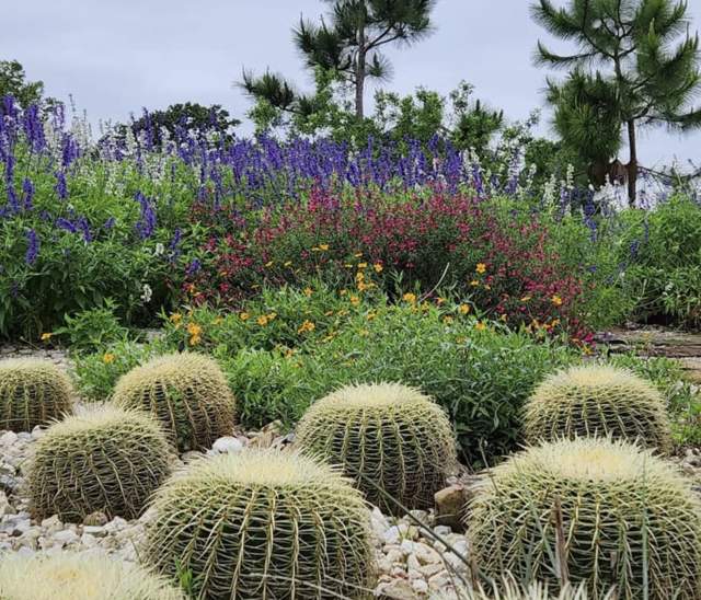 Houston Botanic Garden