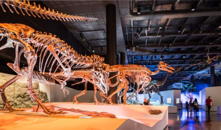 Houston Museum of Natural Science