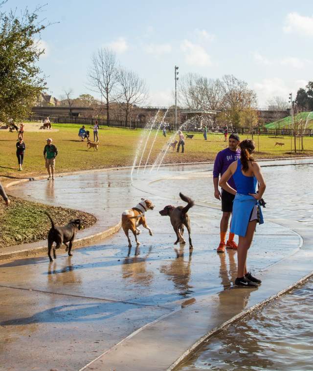 Dog Parks 