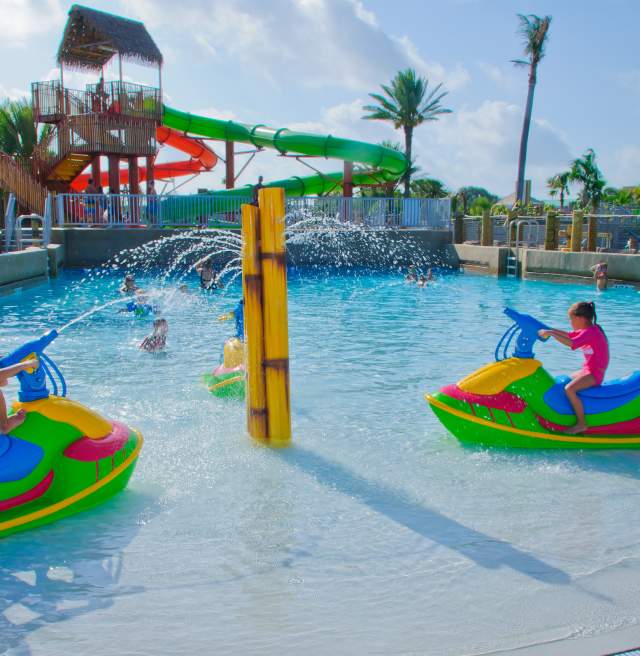 Moody Gardens Palm Beach