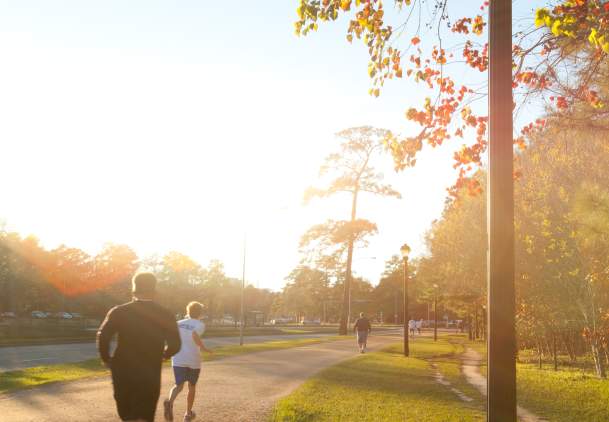 Day Trips: Memorial Park
