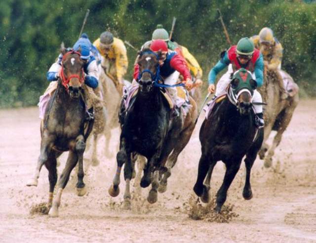 Sam Houston Race Park